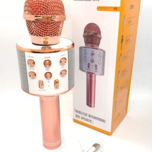 Microfono Karaoke Hytoshy