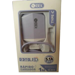 Cargador Rapido microvisbIbek 5.1