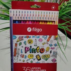 Lapiz Filgo x 36